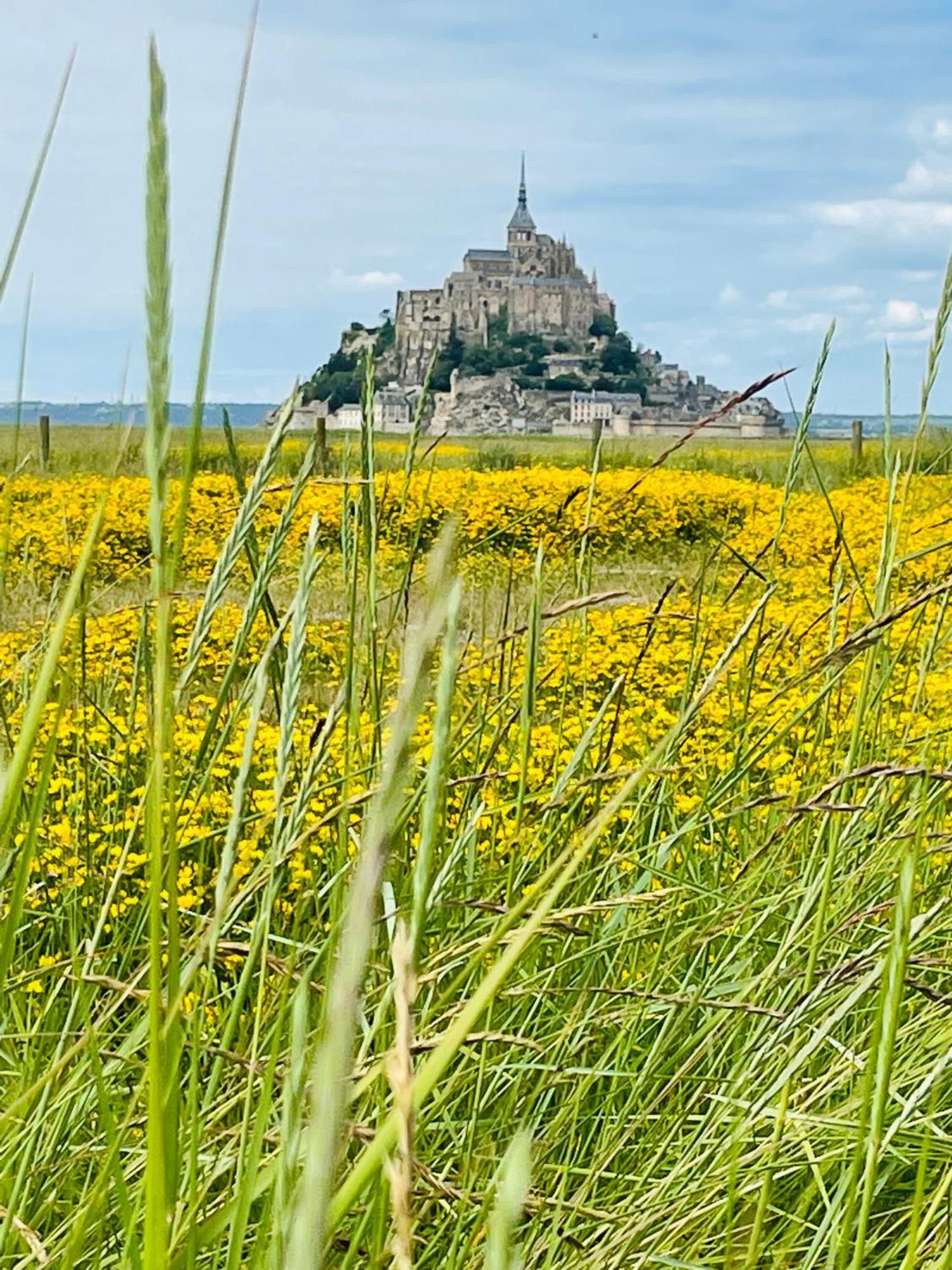 Appartamento Chez Trotro Saint-Pierre-de-Plesguen Esterno foto